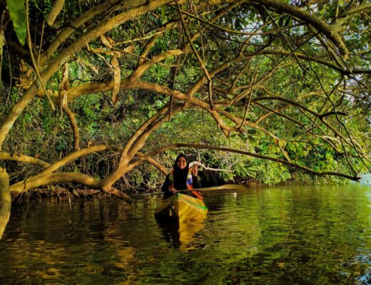 Joven mujer en Paseo en Kayak entre los manglares