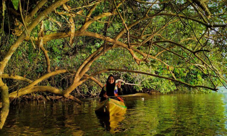 Joven mujer en Paseo en Kayak entre los manglares